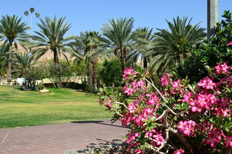 כפר נופש קלי"ה ים המלח Hotel Kalia Exterior foto