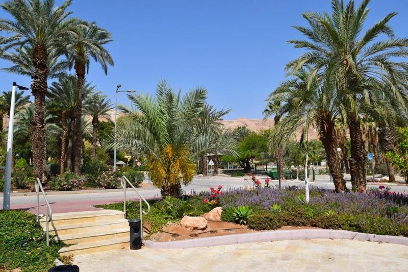 כפר נופש קלי"ה ים המלח Hotel Kalia Exterior foto