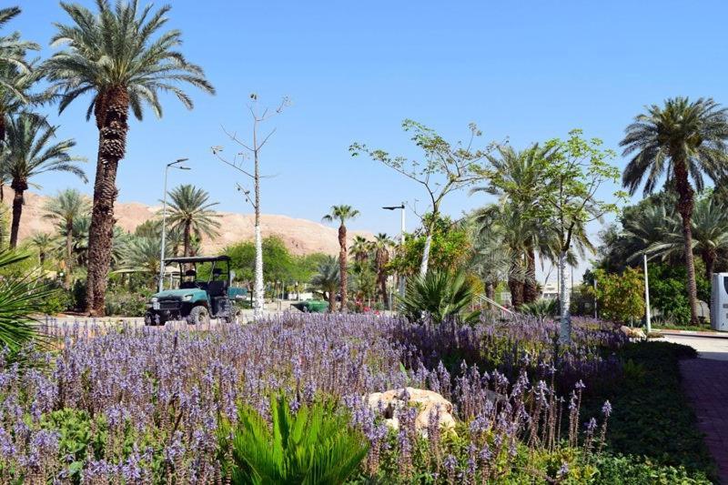 כפר נופש קלי"ה ים המלח Hotel Kalia Exterior foto